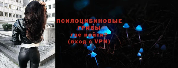 амф Алексин