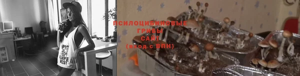 амф Алексин