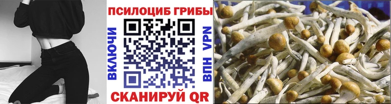 Галлюциногенные грибы Magic Shrooms  Харабали 